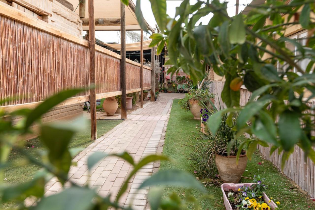 Desert Routes Inn Shvilim Ba Midbar Hazeva Exteriér fotografie