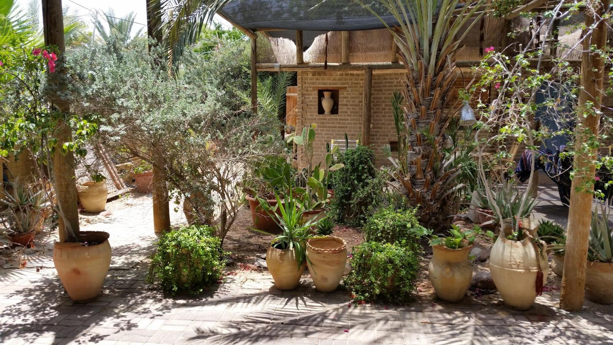 Desert Routes Inn Shvilim Ba Midbar Hazeva Exteriér fotografie